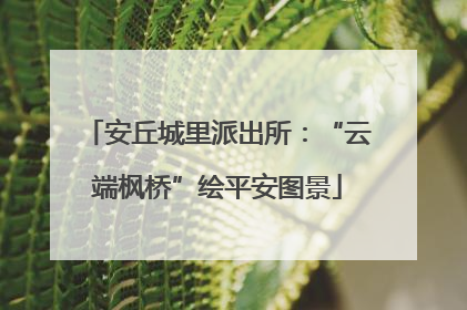 安丘城里派出所：“云端枫桥”绘平安图景