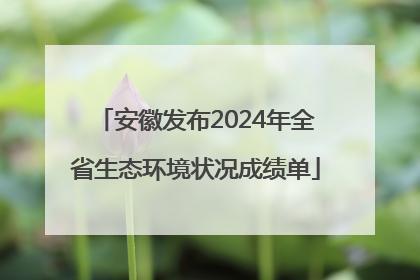 安徽发布2024年全省生态环境状况成绩单