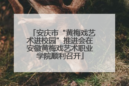 安庆市“黄梅戏艺术进校园”推进会在安徽黄梅戏艺术职业学院顺利召开