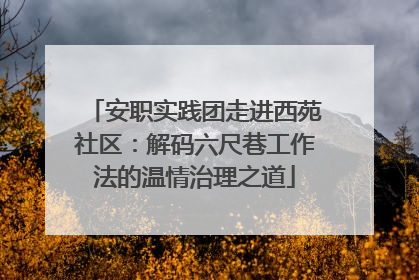 安职实践团走进西苑社区：解码六尺巷工作法的温情治理之道