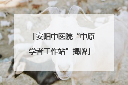 安阳中医院“中原学者工作站”揭牌