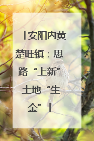 安阳内黄楚旺镇：思路“上新” 土地“生金”