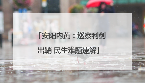 安阳内黄：巡察利剑出鞘 民生难题速解