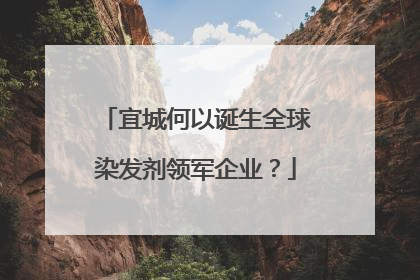 宜城何以诞生全球染发剂领军企业？