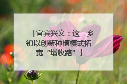 宜宾兴文：这一乡镇以创新种植模式拓宽“增收路”