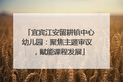 宜宾江安留耕镇中心幼儿园：聚焦主题审议，赋能课程发展