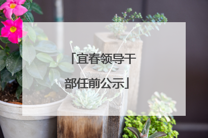 宜春领导干部任前公示