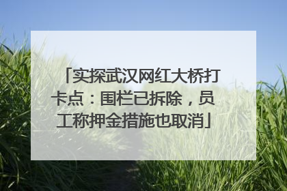 实探武汉网红大桥打卡点：围栏已拆除，员工称押金措施也取消