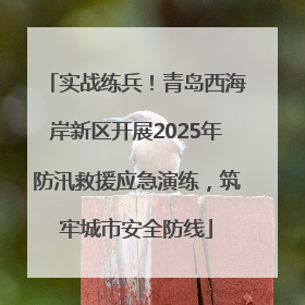 实战练兵！青岛西海岸新区开展2025年防汛救援应急演练，筑牢城市安全防线