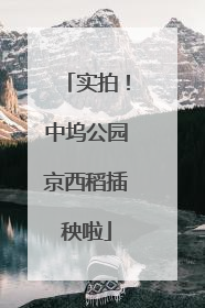 实拍！中坞公园京西稻插秧啦