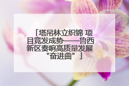 塔吊林立织锦 项目竞发成势——鲁西新区奏响高质量发展“奋进曲”