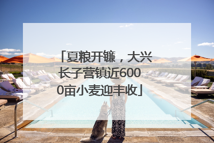 夏粮开镰，大兴长子营镇近6000亩小麦迎丰收