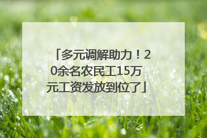 多元调解助力！20余名农民工15万元工资发放到位了