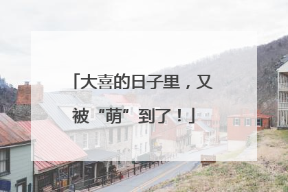 大喜的日子里，又被“萌”到了！