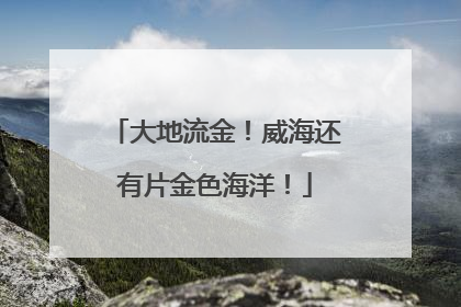大地流金！威海还有片金色海洋！