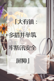 大有镇：多措并举筑牢防汛安全屏障