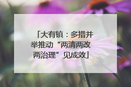 大有镇：多措并举推动“两清两改两治理”见成效