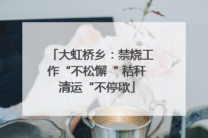 大虹桥乡：禁烧工作“不松懈“ 秸秆清运“不停歇
