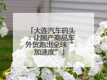 大连汽车码头：让国产商品车外贸跑出全球“加速度”