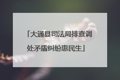大通县司法局排查调处矛盾纠纷惠民生