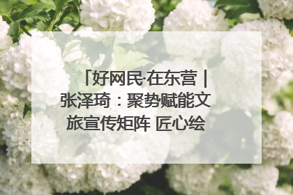 好网民·在东营｜张泽琦：聚势赋能文旅宣传矩阵 匠心绘就东营诗与远方