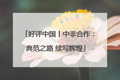 好评中国丨中非合作：典范之路 续写辉煌