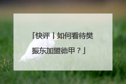 快评丨如何看待樊振东加盟德甲？