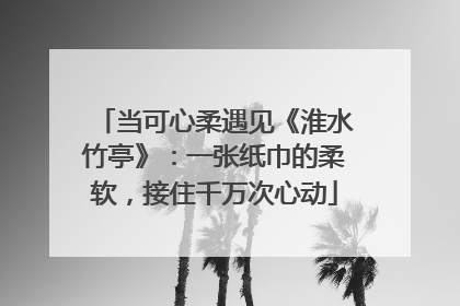 当可心柔遇见《淮水竹亭》：一张纸巾的柔软，接住千万次心动
