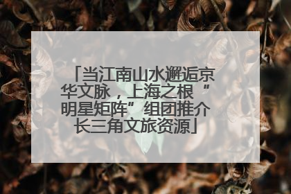 当江南山水邂逅京华文脉，上海之根“明星矩阵”组团推介长三角文旅资源