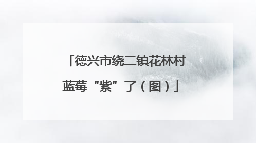 德兴市绕二镇花林村蓝莓“紫”了（图）