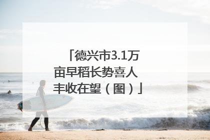 德兴市3.1万亩早稻长势喜人 丰收在望（图）