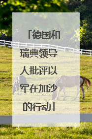 德国和瑞典领导人批评以军在加沙的行动