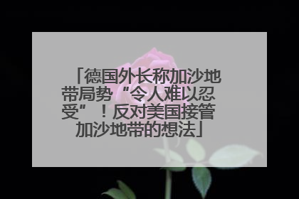 德国外长称加沙地带局势“令人难以忍受”！反对美国接管加沙地带的想法