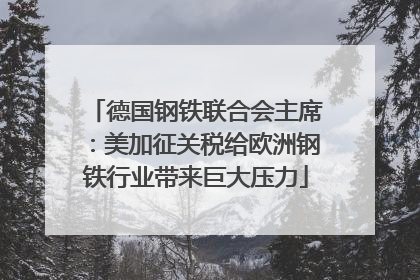 德国钢铁联合会主席：美加征关税给欧洲钢铁行业带来巨大压力
