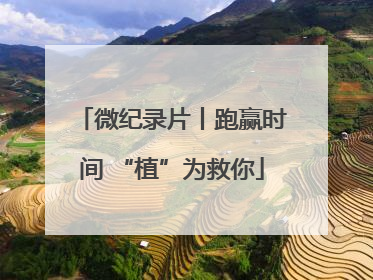 微纪录片丨跑赢时间 “植”为救你