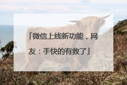 微信上线新功能，网友：手快的有救了