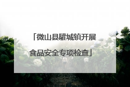 微山县驩城镇开展食品安全专项检查