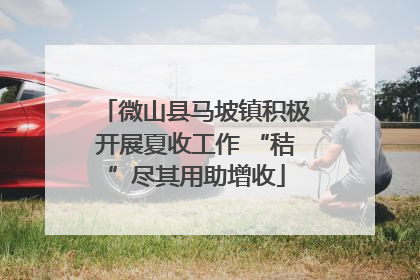 微山县马坡镇积极开展夏收工作 “秸”尽其用助增收