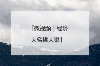 微视频｜经济大省挑大梁