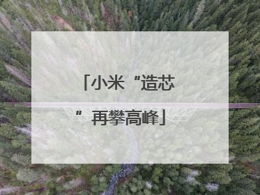 小米“造芯”再攀高峰