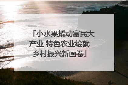 小水果撬动富民大产业 特色农业绘就乡村振兴新画卷