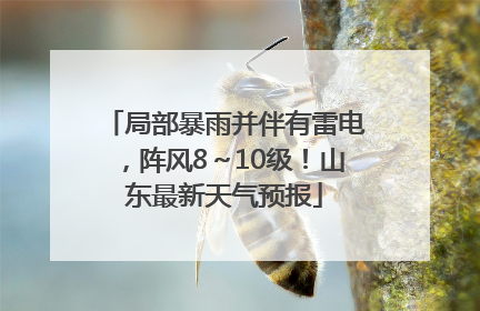 局部暴雨并伴有雷电，阵风8～10级！山东最新天气预报