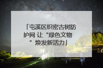 屯溪区织密古树防护网 让“绿色文物”焕发新活力