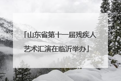 山东省第十一届残疾人艺术汇演在临沂举办