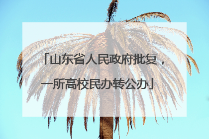 山东省人民政府批复，一所高校民办转公办