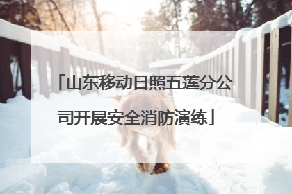 山东移动日照五莲分公司开展安全消防演练