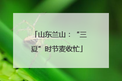 山东兰山：“三夏”时节麦收忙