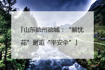 山东德州德城：“解忧花”邂逅“平安伞”