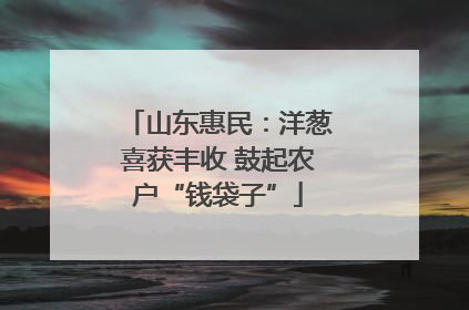 山东惠民：洋葱喜获丰收 鼓起农户“钱袋子”