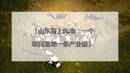 山东海上风电：一个项目落地一条产业链